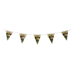 Vlaggenlijn dino - multikleur - 6 meter