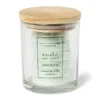Waxmelts in pot - green water - 6 stuks