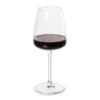 Wijnglas leyda - 310 ml